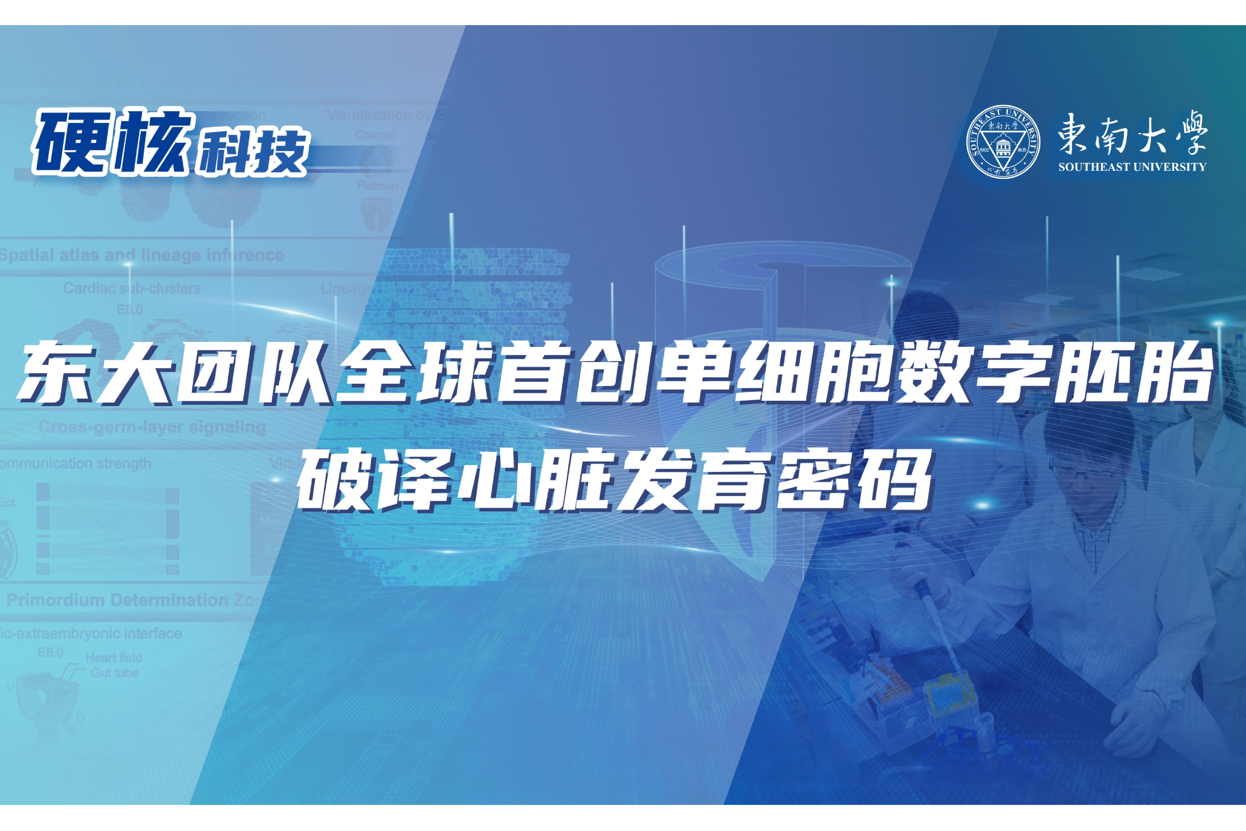 【光明日報】東南大學團隊破譯心臟發育密碼 為先心病等出生缺陷防治與再生醫學研究提供關鍵理論基礎